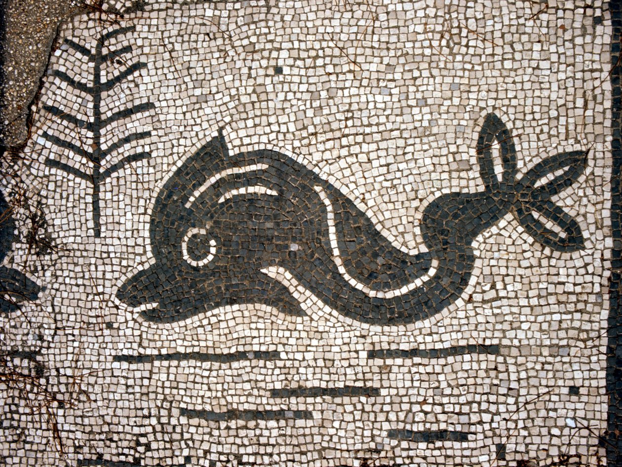 Representação de um golfinho após um mosaico na praça das Corporações de Óstia (Ostia) antica. de Roman