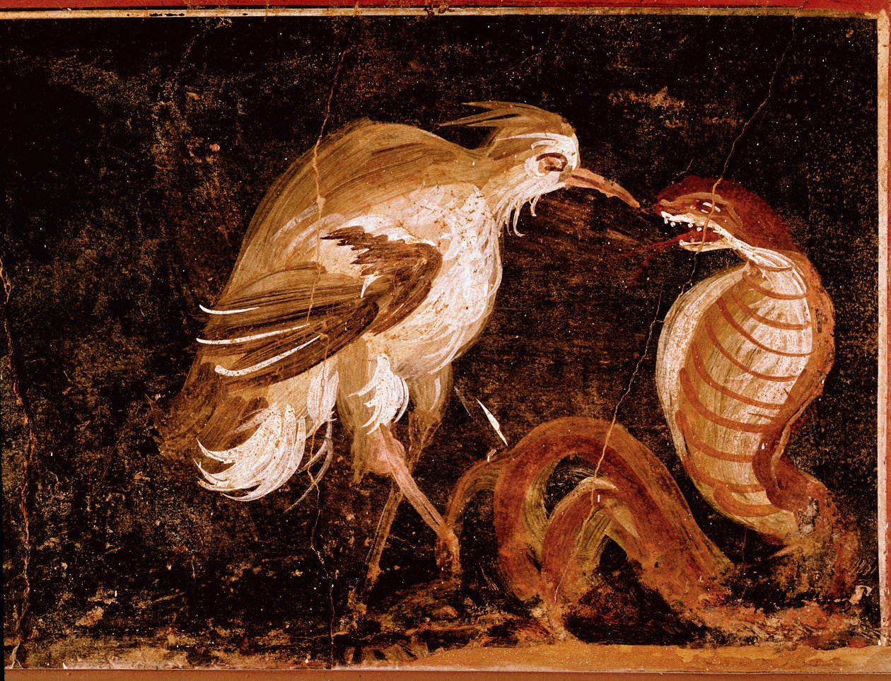 Arte Romana: "Luta entre uma garça e uma cobra" fresco romano da casa dos Epigramas, Pompeia, Itália (Luta entre uma garça e uma cobra, fresco da casa degli Epigrammi, Pompeia) 60-80 d.C. de Roman