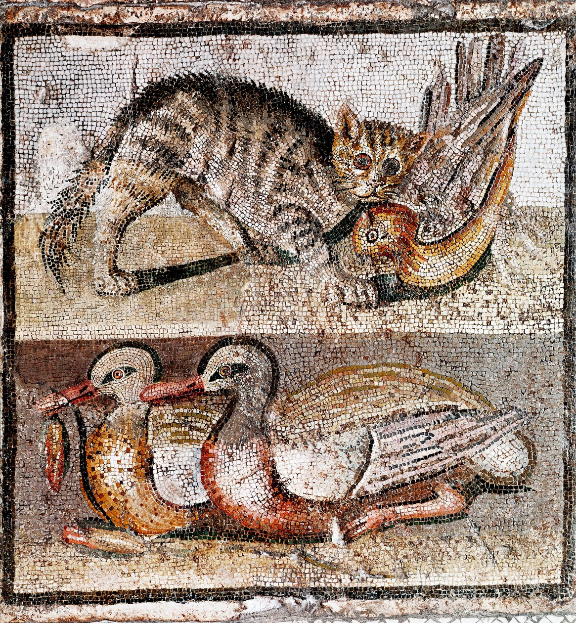 Arte Romana: mosaico representando um gato selvagem que captura uma perdiz e dois patos. 200-150 AC. Roma, Museo Nazionale Romano - Arte Romana: mosaico representando um gato selvagem apanhando uma perdiz e dois patos. 200-150 A.C. Museo Nazionale Romano,  de Roman