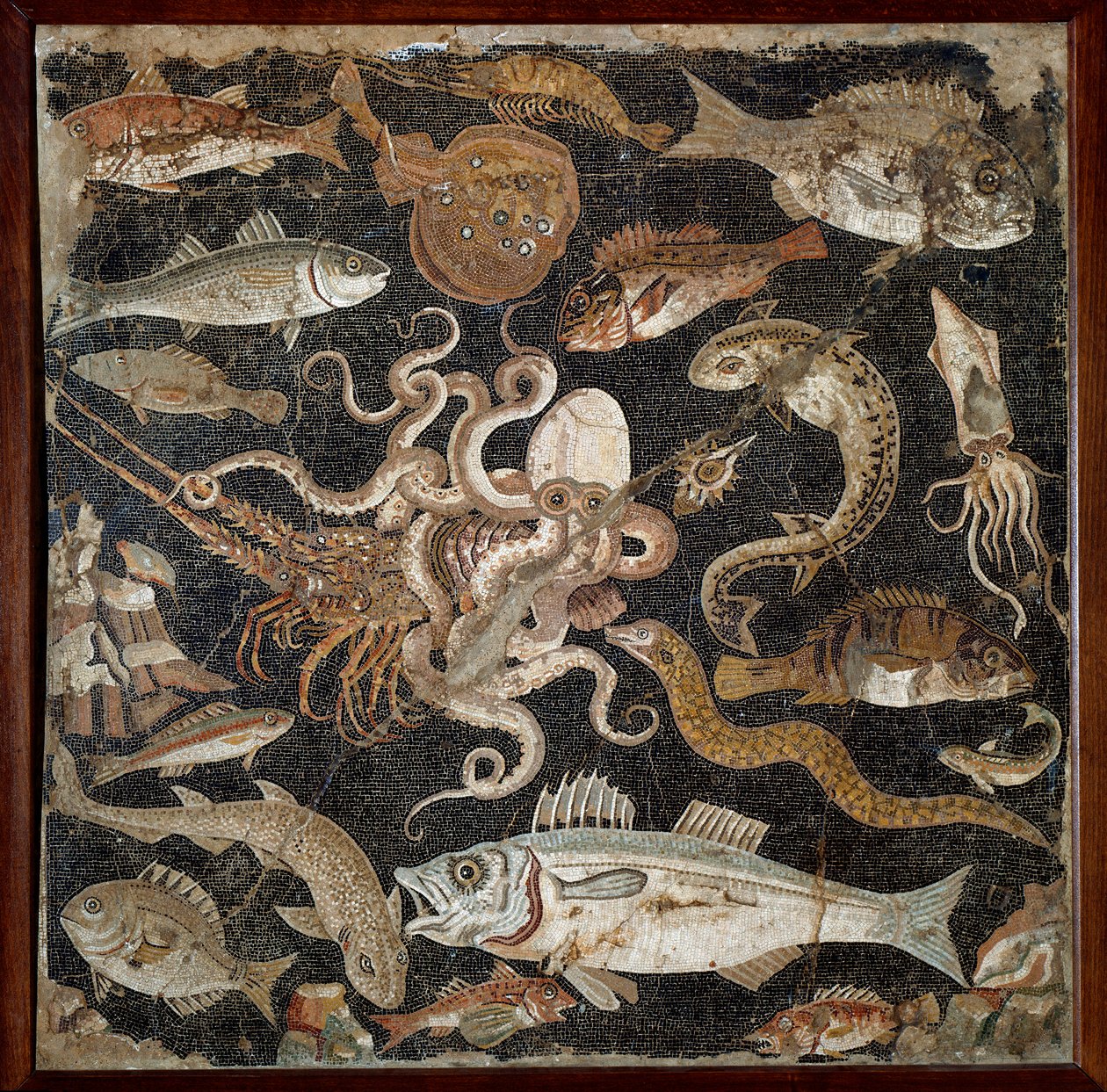 Arte romana: "Fauna marinha" Mosaico do século II. Nápoles, Museo Archeologico Nazionale, inv. 120177 - Arte romana: Vida marinha. Mosaico do século II a.C. Museu Nacional de Arqueologia, inv. 120177, Nápoles, Itália. de Roman