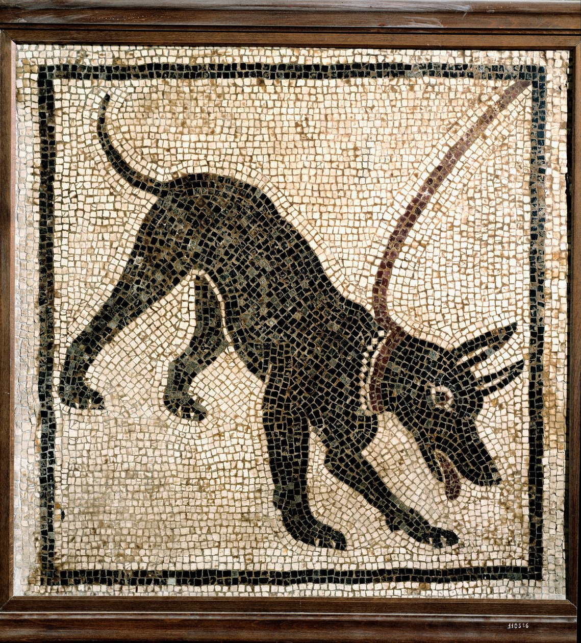 Arte Romana: "" cuidado com o cão "" de Roman