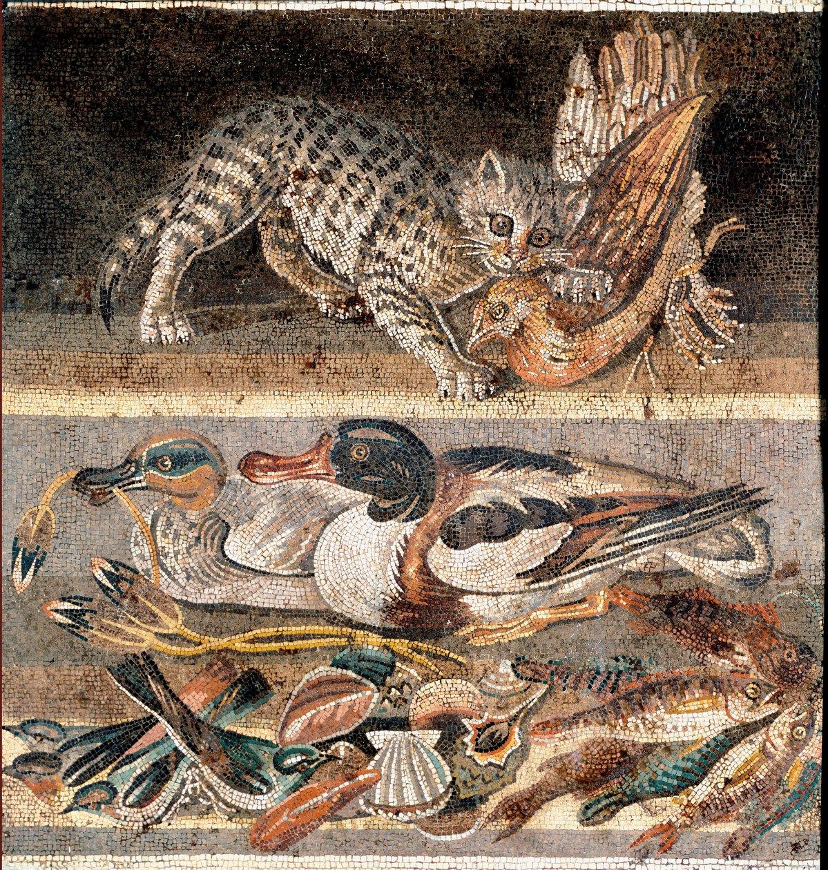 Arte romana: gato comendo uma perdiz, e patos selvagens Primeira metade do 1º AC) Roma, Museo Nazionale Romano de Roman