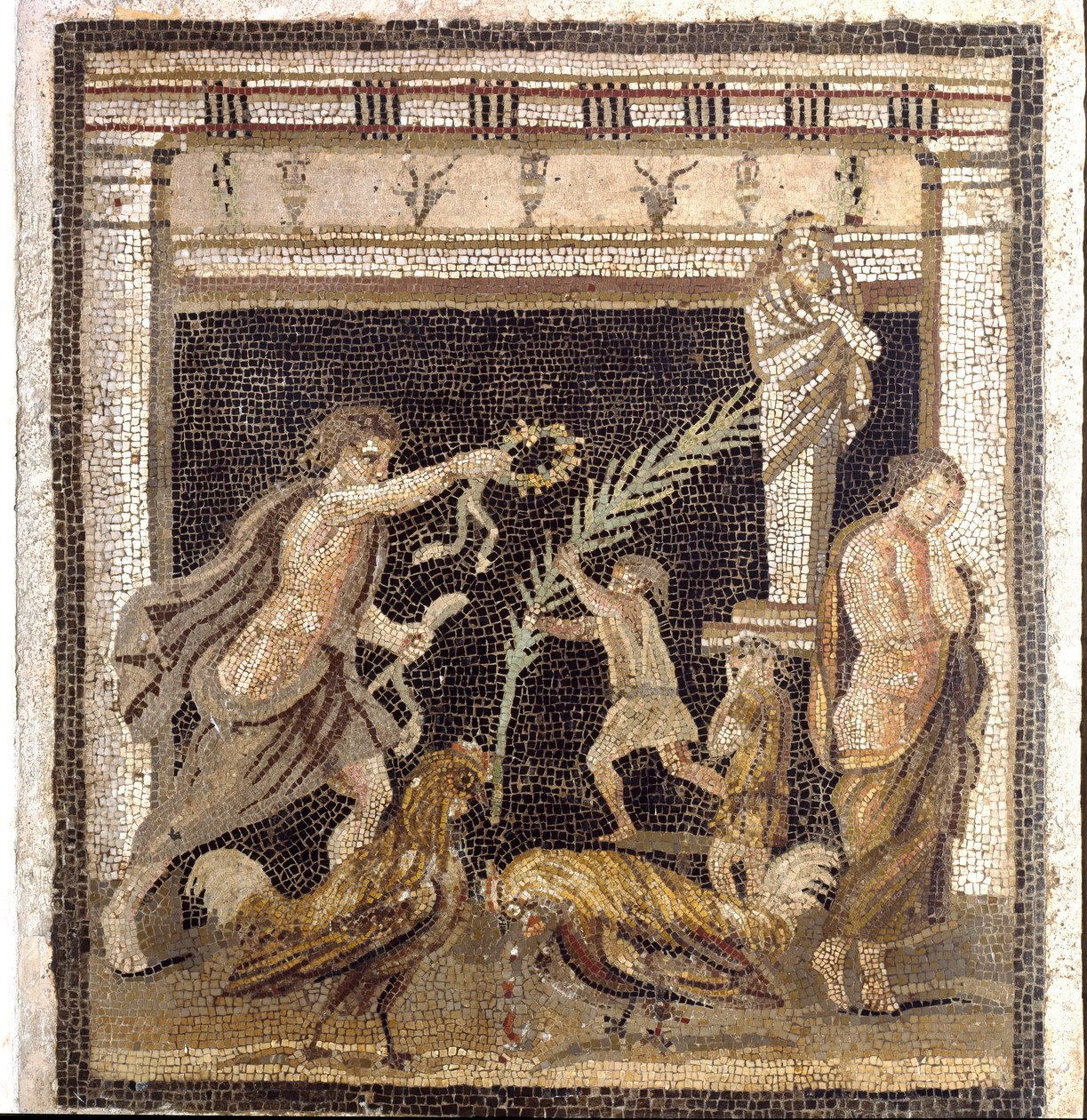 Arte romana: luta de galos em uma palestra na presença das personificações da Derrota e da Vitória. Mosaico de Villa du Labyrinth em Pompéia. 2º estilo. Dim. 46x42 cm Museo Archeologico Nazionale, Nápoles. de Roman