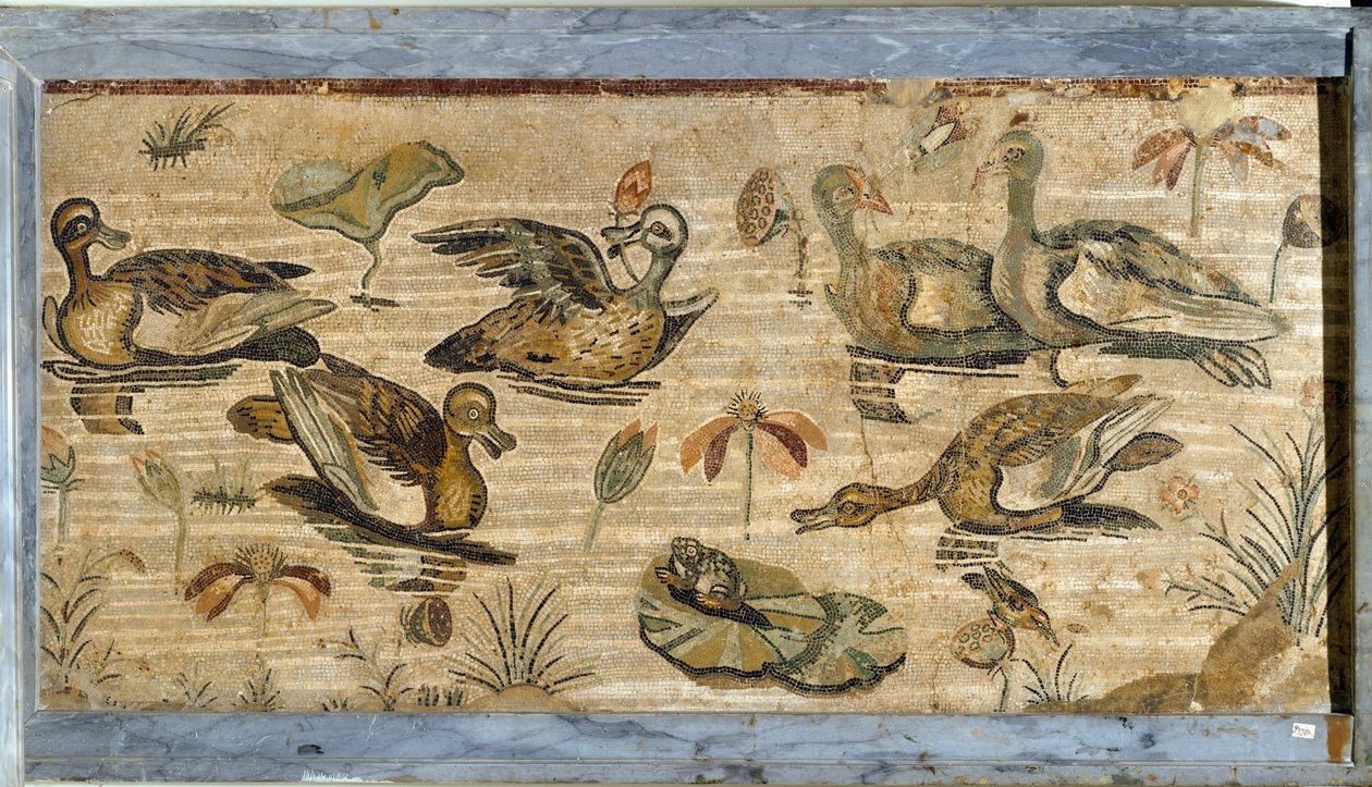 Arte romana: pato, rã e lírios de água num lago. Mosaico da vila da fauna em Pompeia. Século I. Dim. 132x164 cm. Museo Archeologico Nazionale, Nápoles. de Roman
