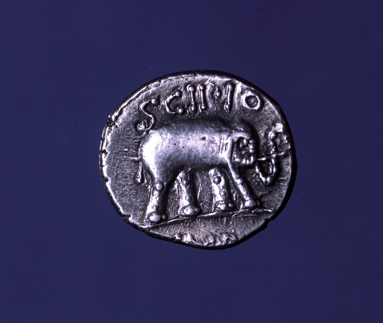 Moeda de prata representando um elefante, animal fetiche dos Scipions. Lucius Caecilius Metellus apreendeu os elefantes cartagineses em 251 AC. 47-46 AC. de Roman