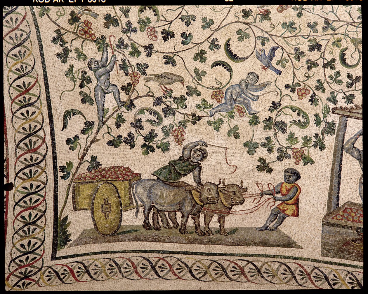 A Colheita da Uva (mosaico) de Roman