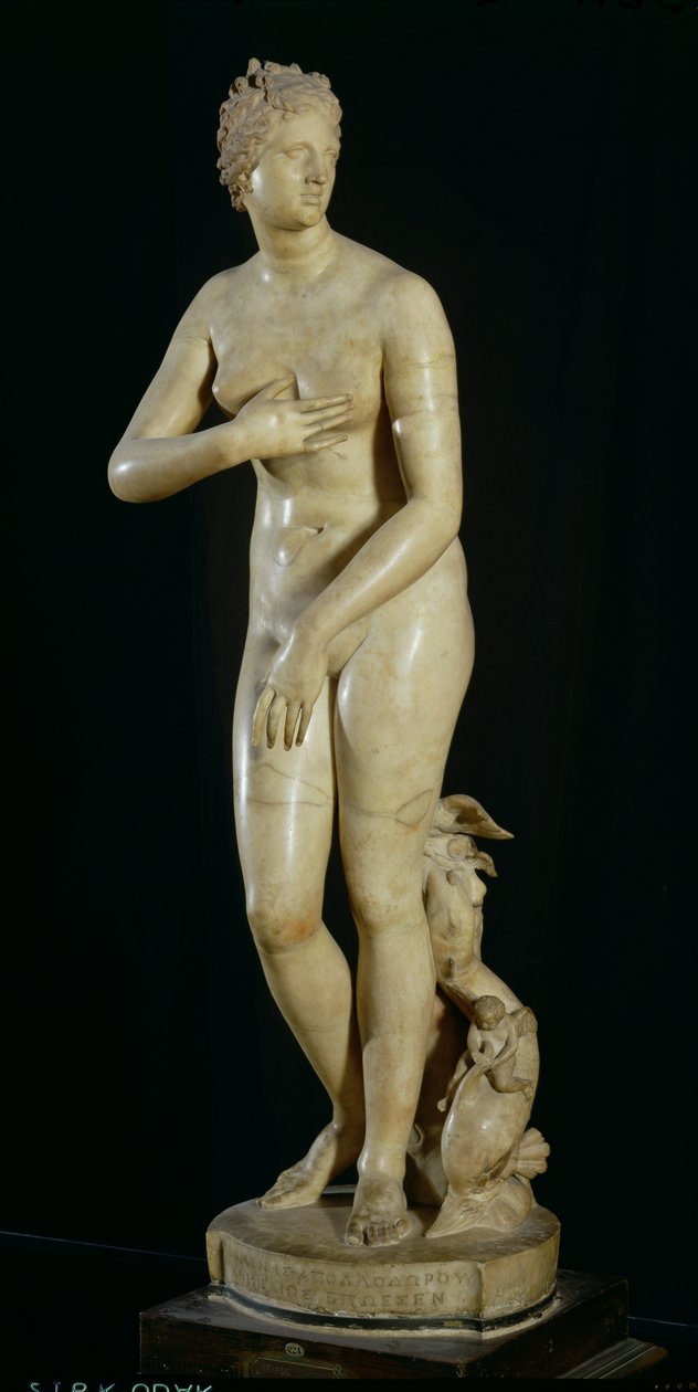 Os Medici Vênus, cópia do original helenístico por Praxiteles (c.370-330 aC) (mármore) de Roman
