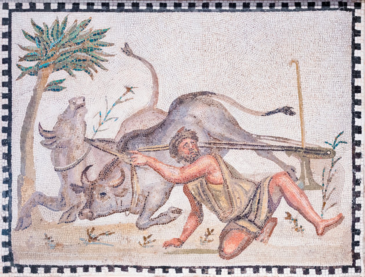 O lavrador com bois, século III-4 (mosaico) de Roman