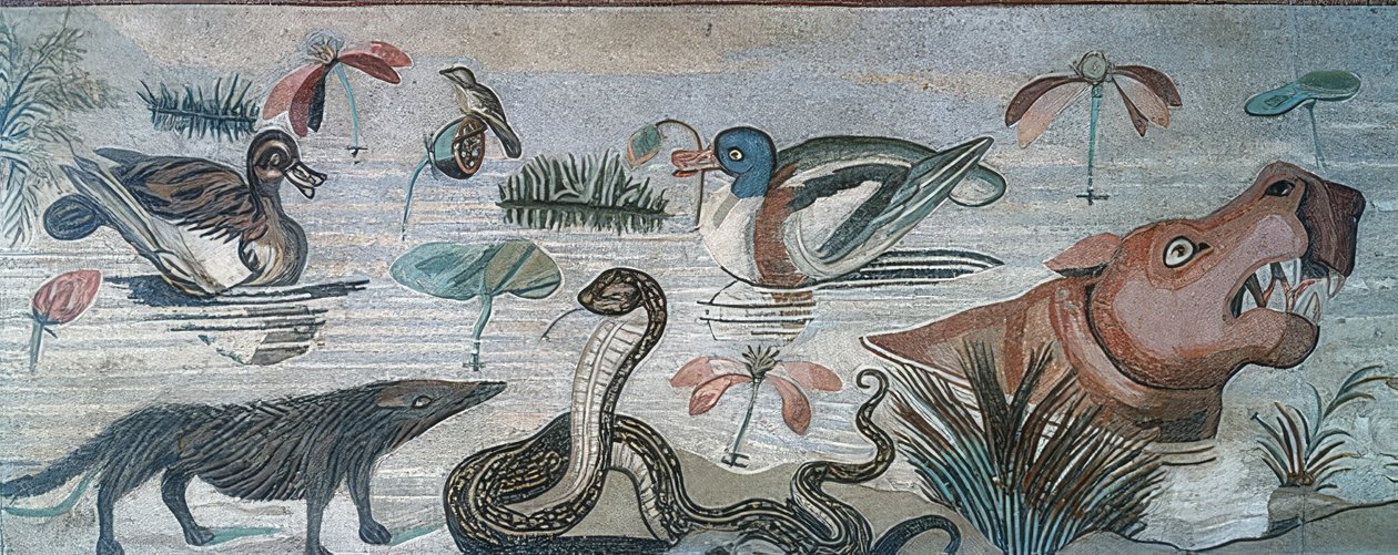 Animais no Nilo, da Casa do Fauno (Casa del Fauno), Pompéia de Roman