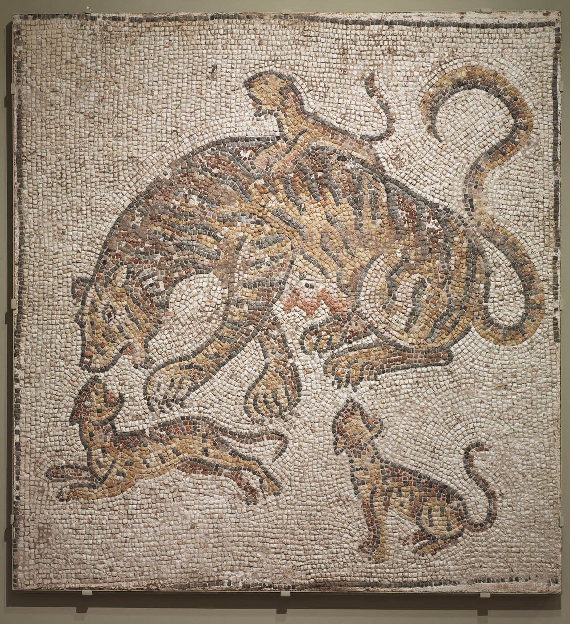 Tigresa e Filhotes, c.300 DC de Roman