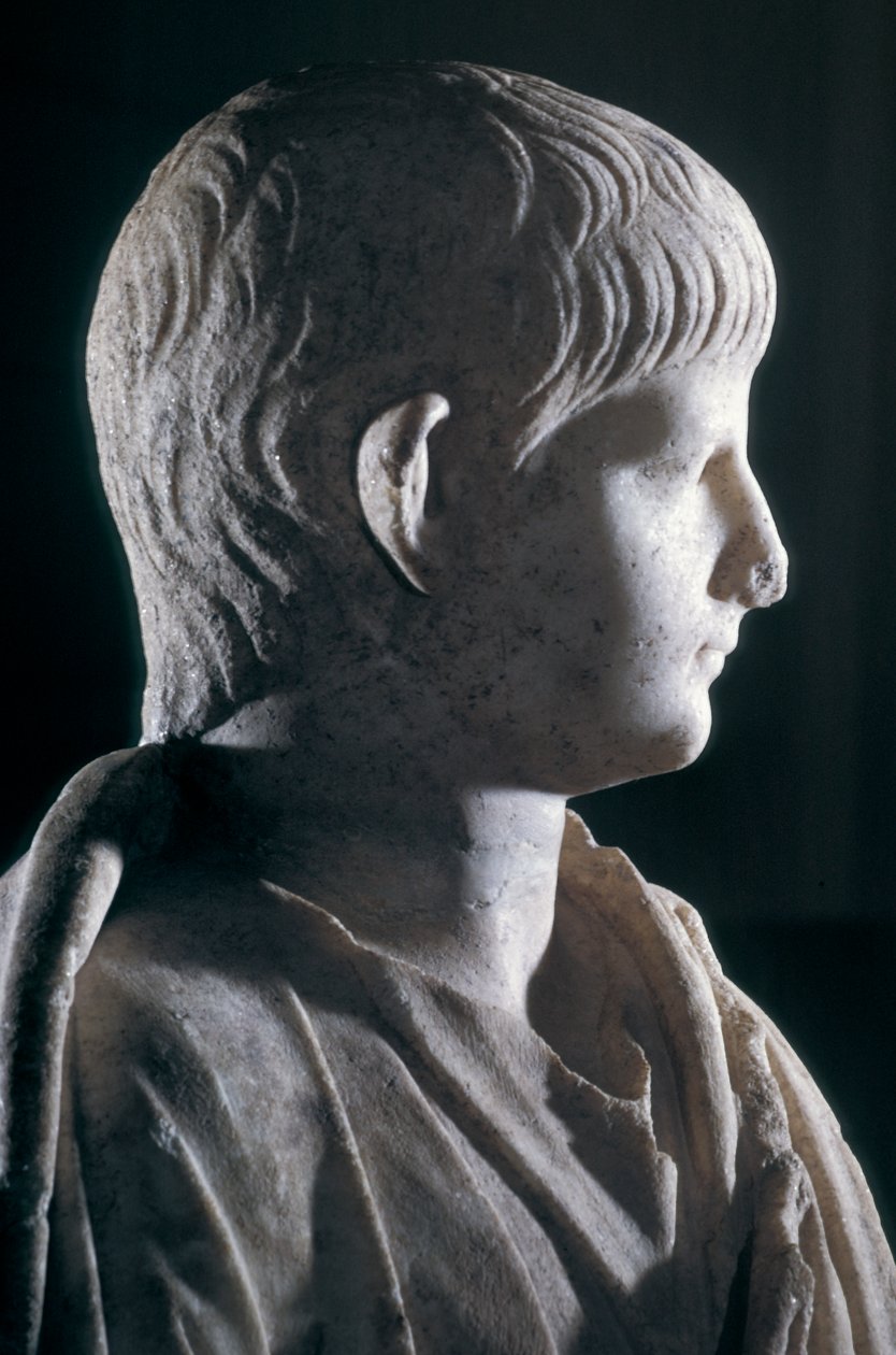 Estátua Togate do jovem Nero, vista lateral da cabeça, c.50 AD (mármore) (detalhe de 140378) de Roman