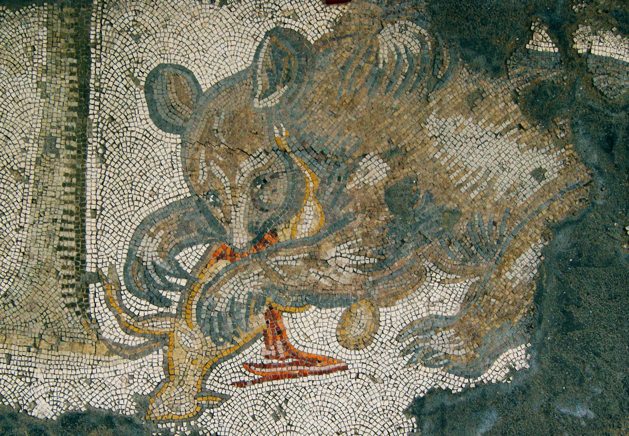 Imagem desconhecida de Roman