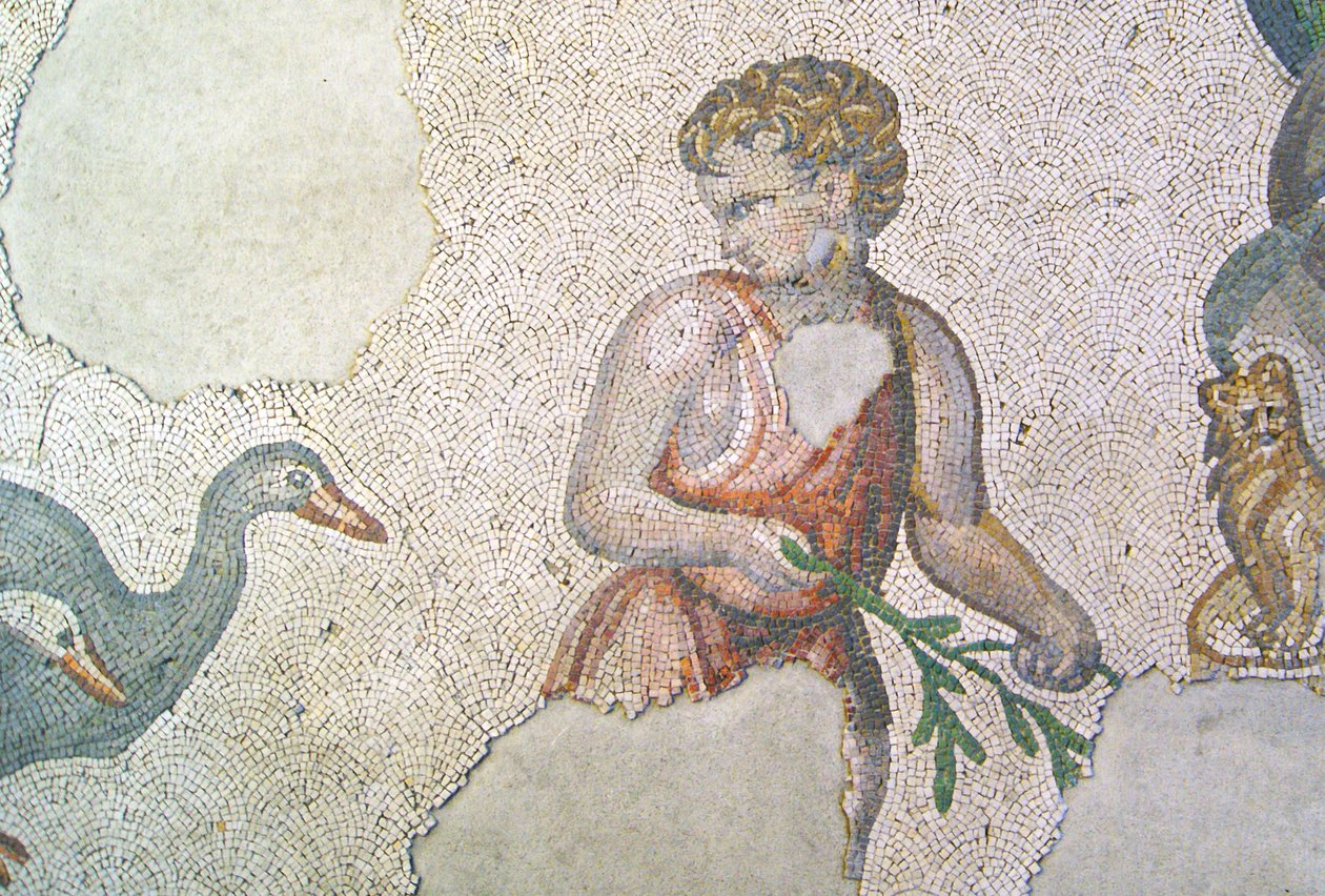 Imagem desconhecida de Roman