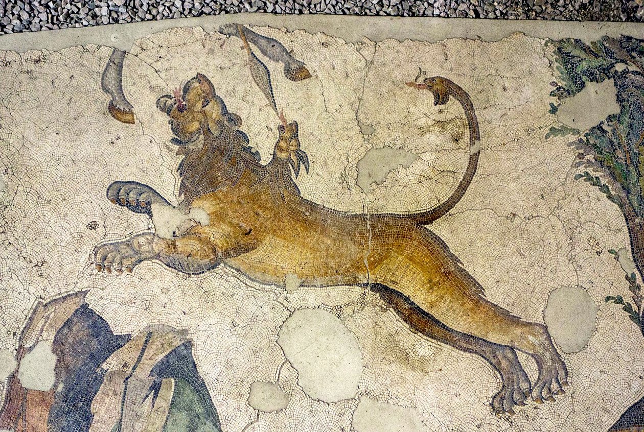 Imagem desconhecida de Roman