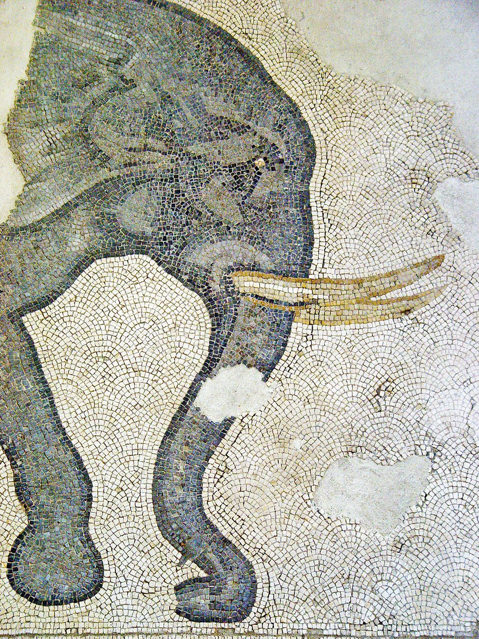 Imagem desconhecida de Roman