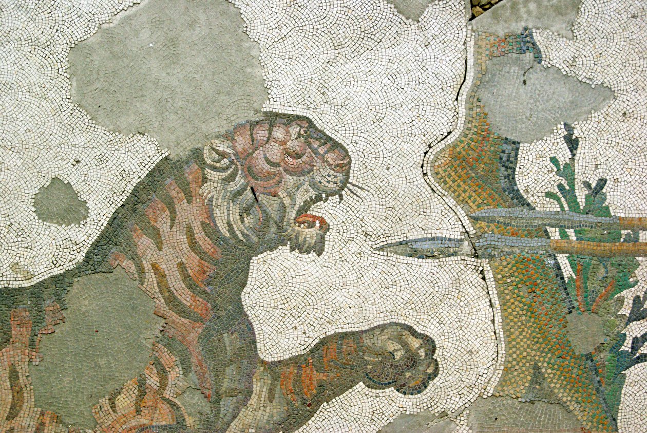 Imagem desconhecida de Roman
