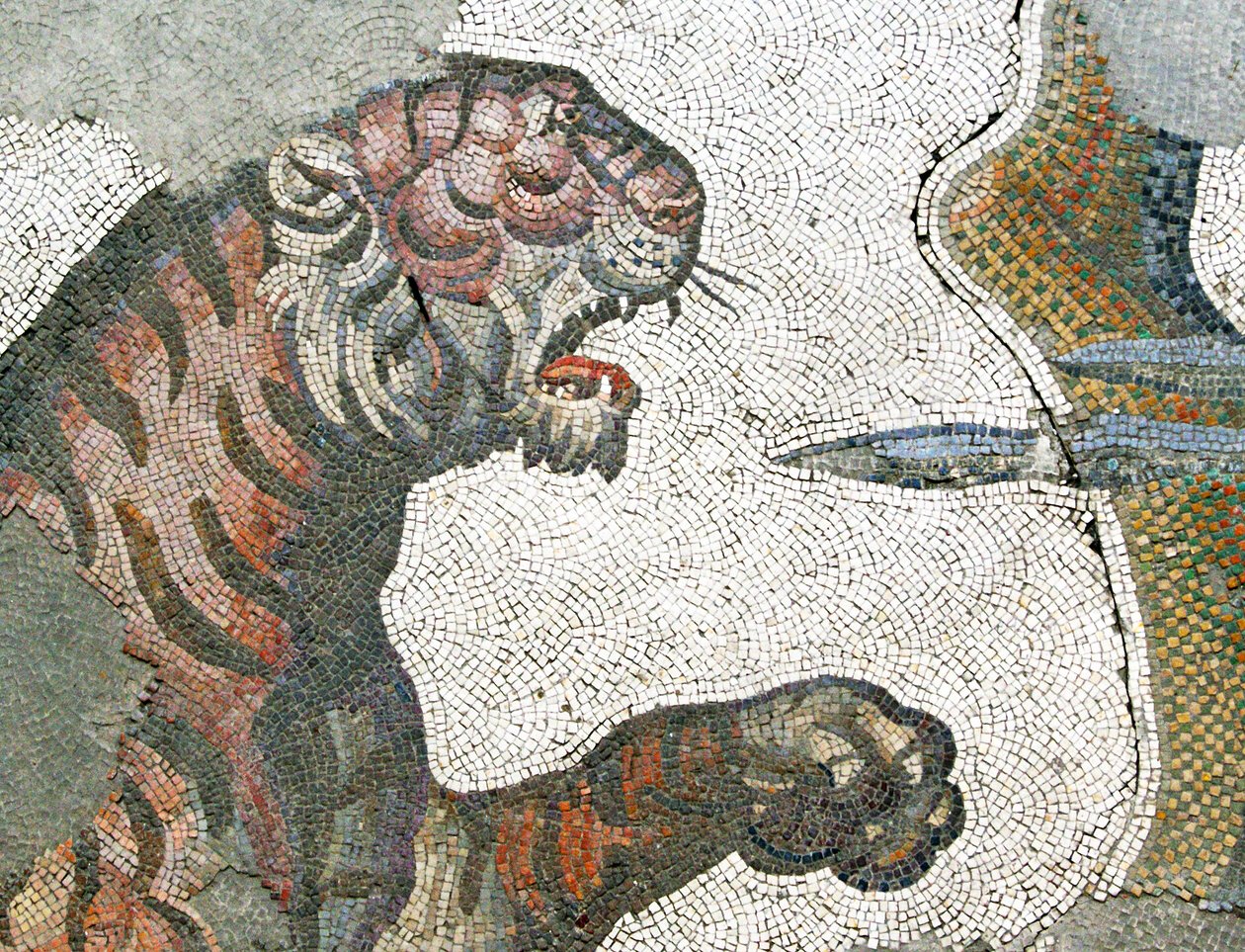 Imagem desconhecida de Roman