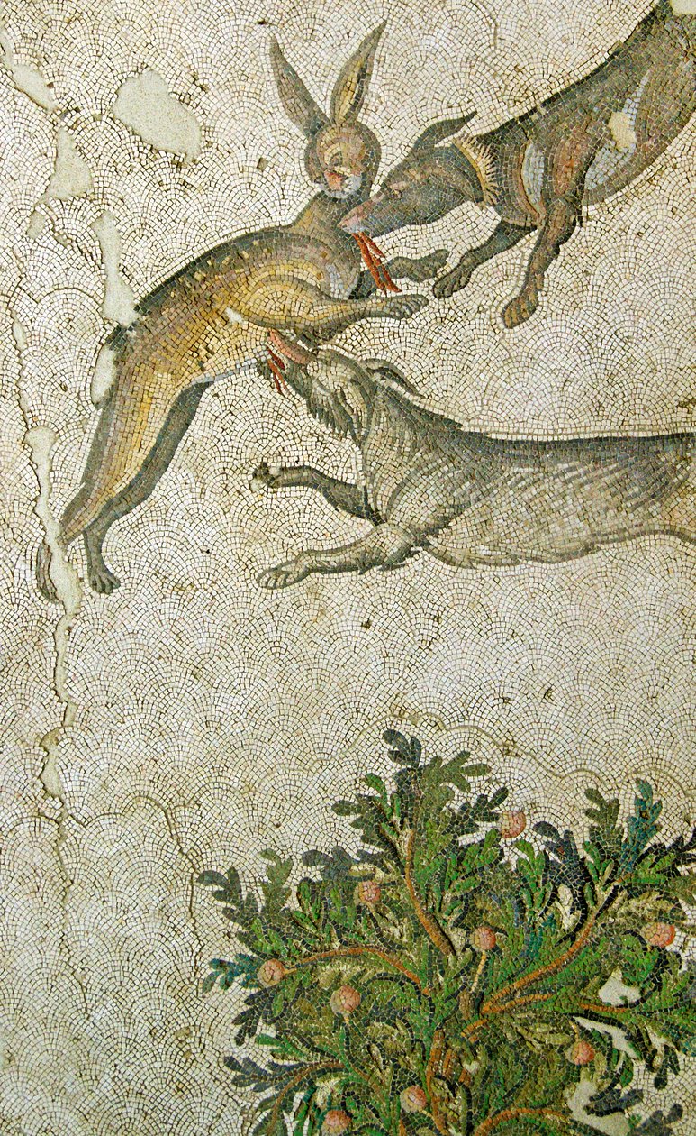 Imagem desconhecida de Roman