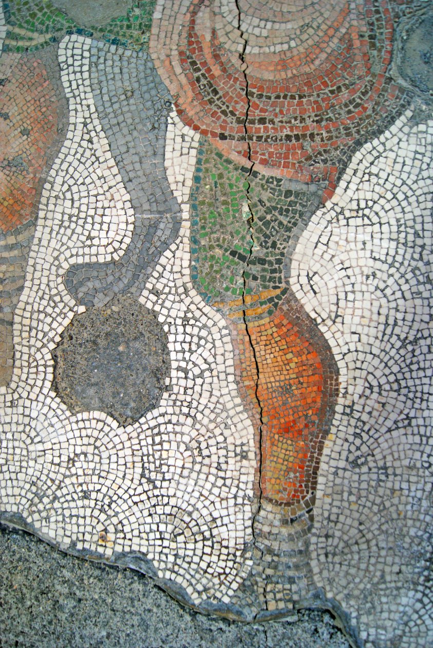 Imagem desconhecida de Roman