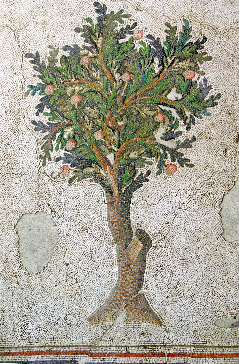Imagem desconhecida de Roman