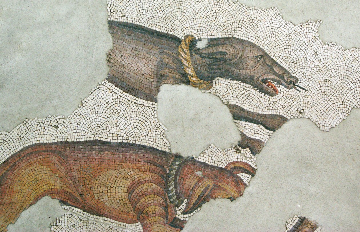 Imagem desconhecida de Roman