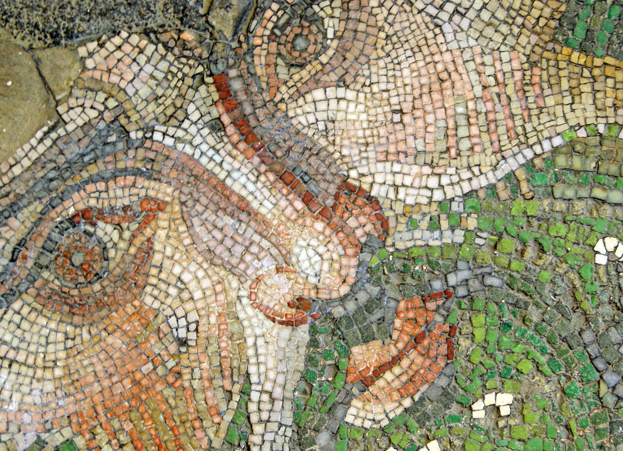 Imagem desconhecida de Roman