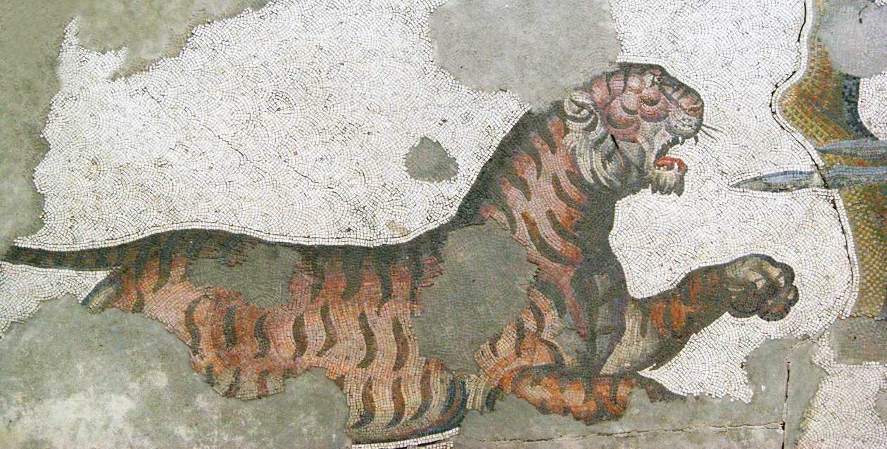 Imagem desconhecida de Roman