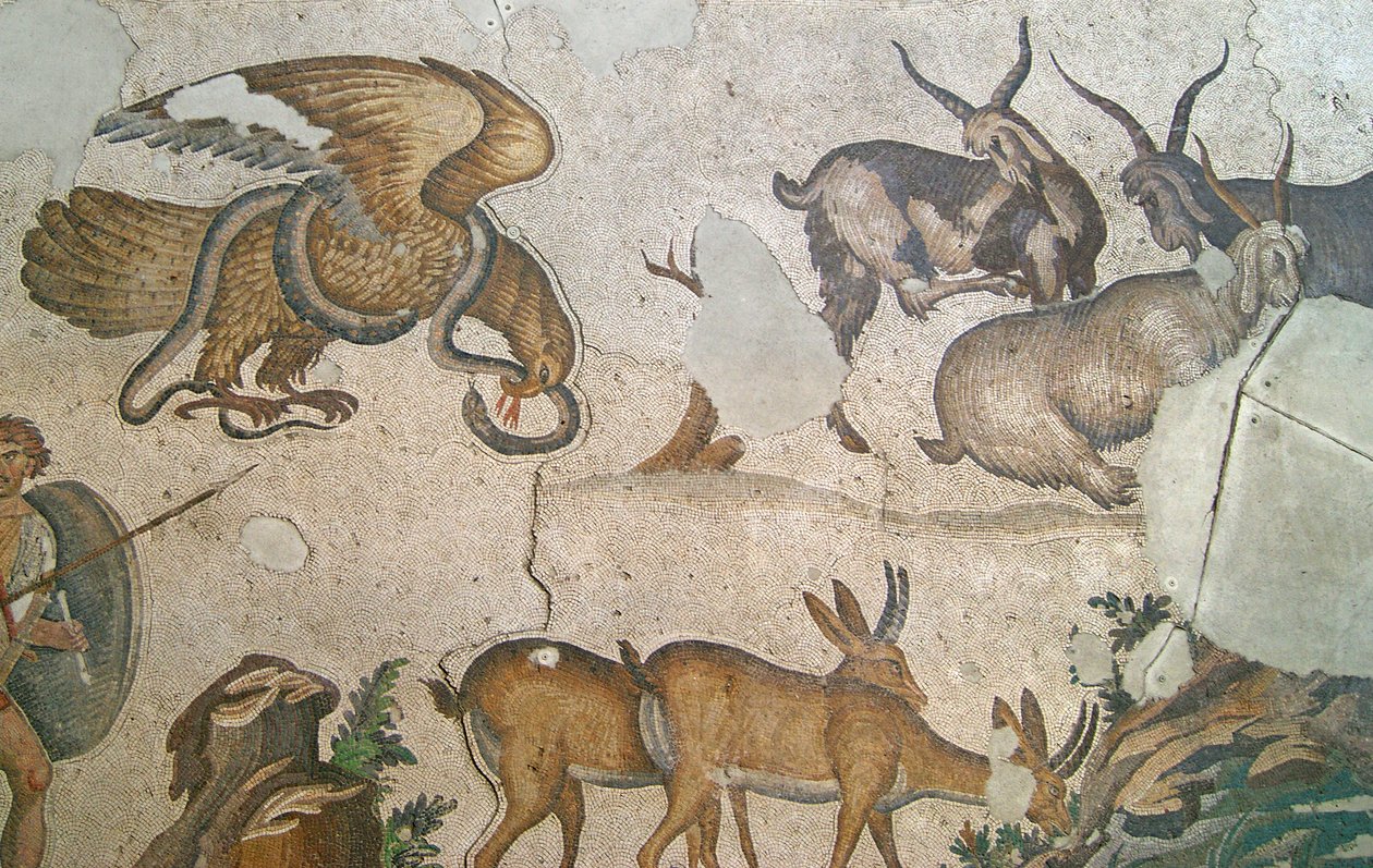 Imagem desconhecida de Roman