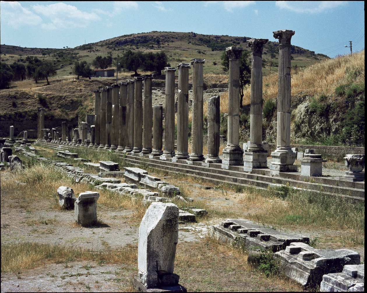 Vista do santuário de Asclepios (283 a 133 a.C.) de Roman