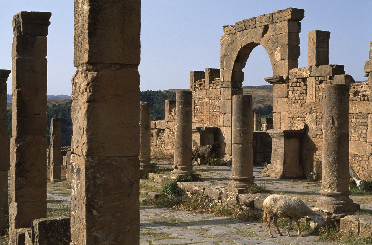 Cardo e entrada do Mercado Cosinius, Alto Período Imperial (27 aC-395 dC) de Roman Imperial Period