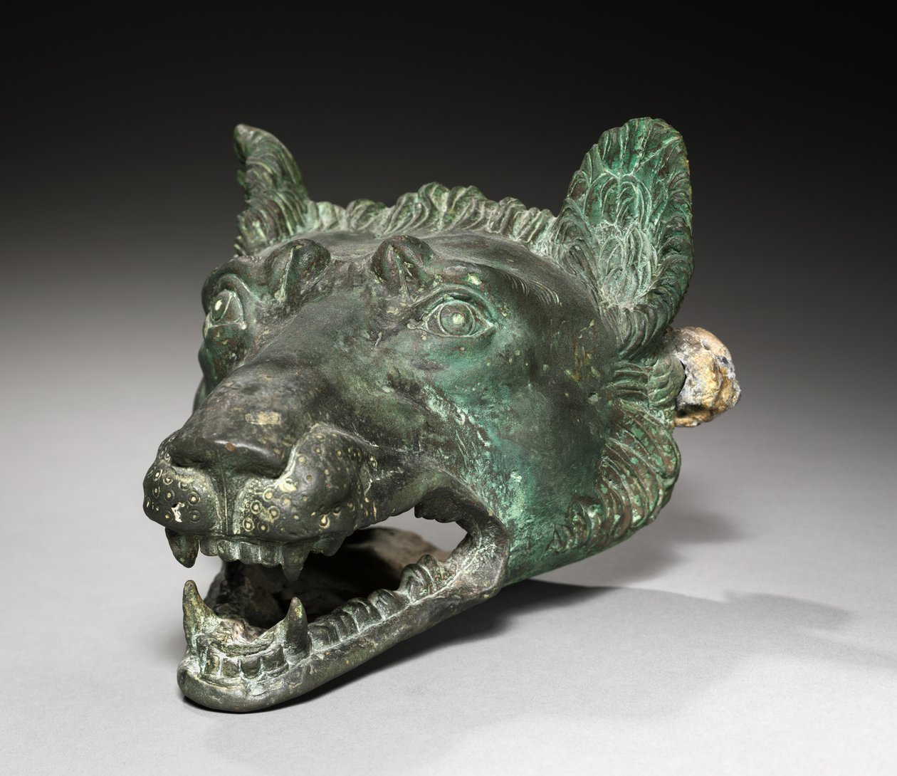 Acessório de barcaça Wolf-Head, 1-200 de Roman Imperial Period