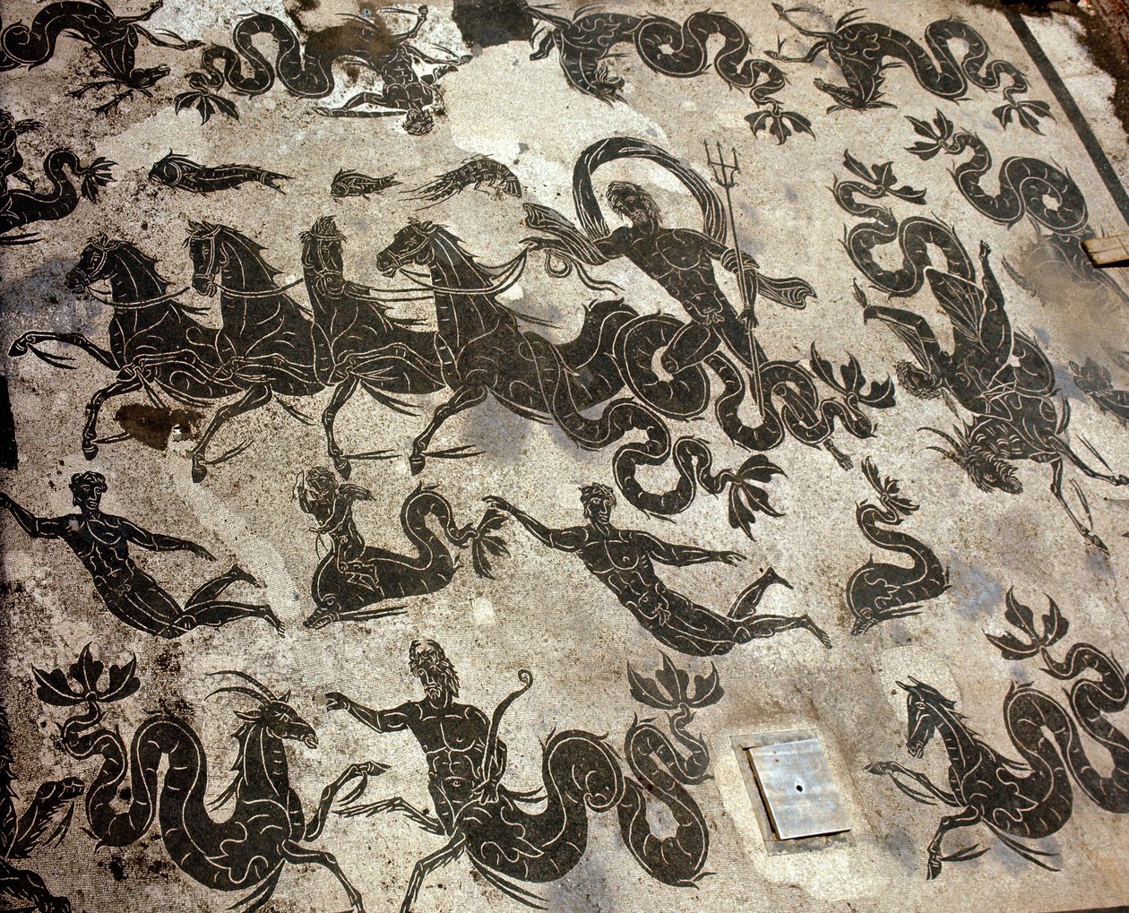 Ostia Antiga (Ostia). Mosaico de Neptuno no seu tanque cercado de golfinhos e monstros marinhos de Roman Roman