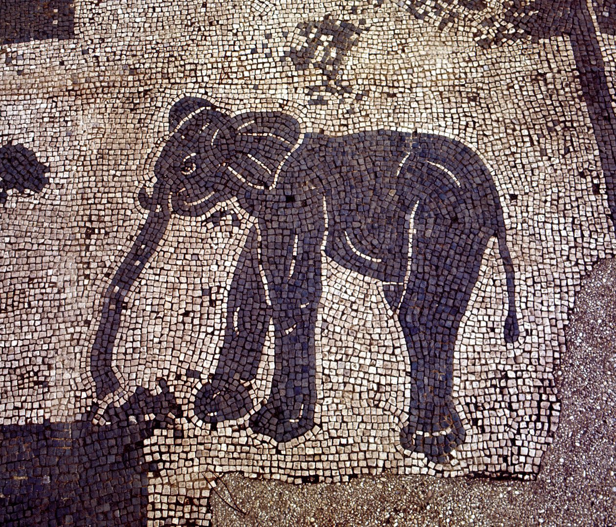 Ostia Antiga (Ostia). Place des Corporations. Mosaico da Sabratha Seafarers Corporation. de Roman Roman