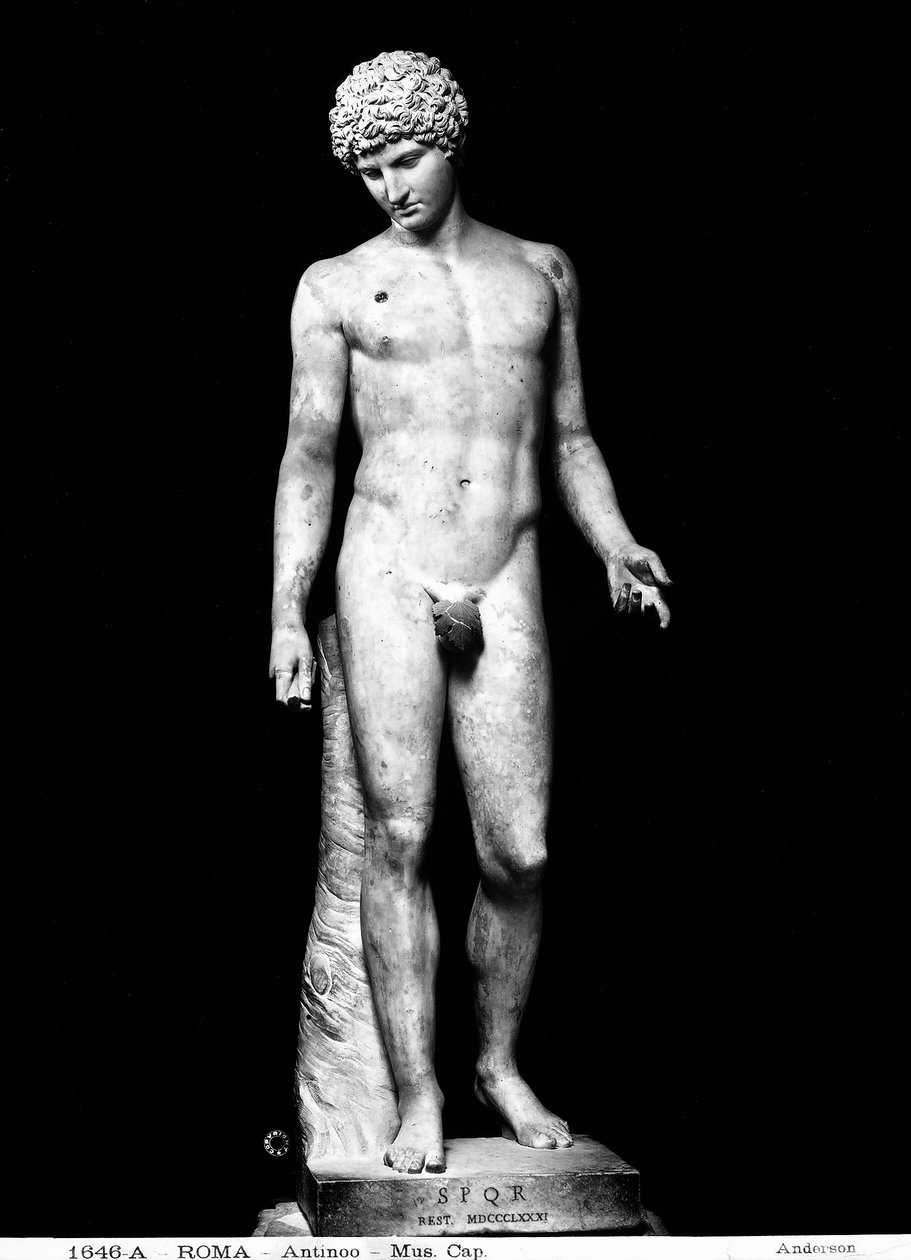Antinoso (mármore) de Roman Roman