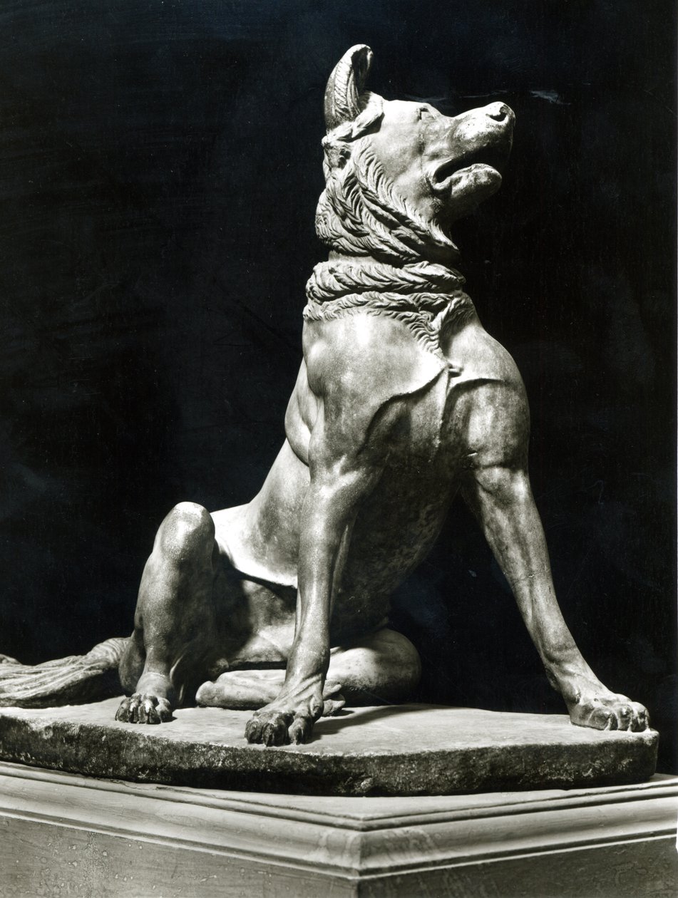 Bull Mastif Dog (mármore) de Roman Roman