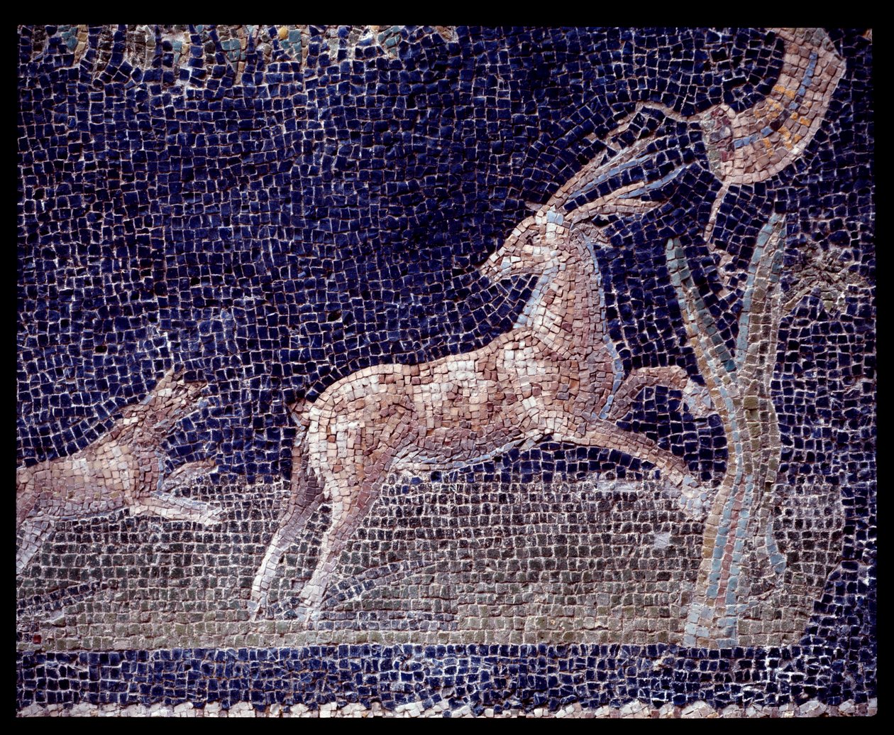 Detalhe dos mosaicos de parede da ninfaeum da casa di Nettuno e Anfitrite, século V a.C.-1 d.C. de Roman Roman