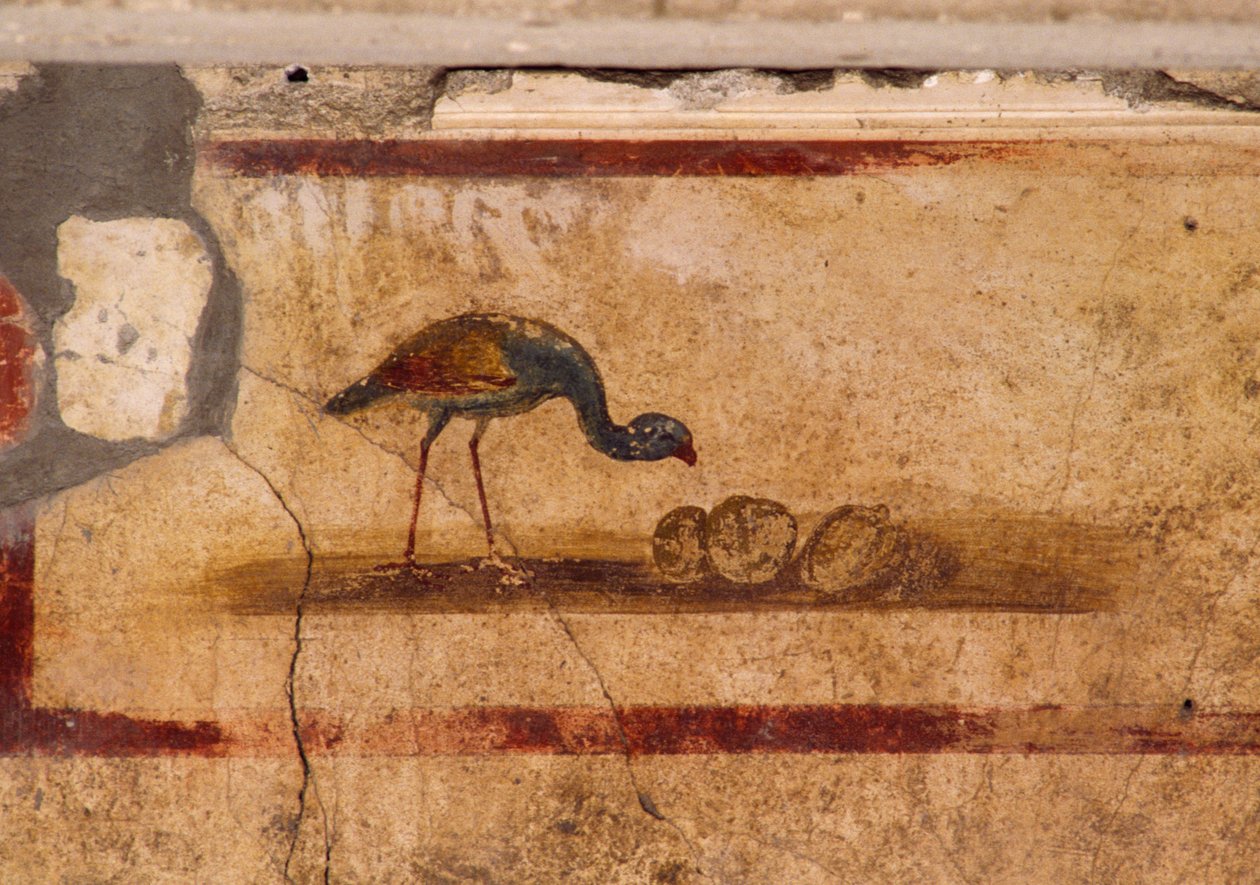 Afresco representando uma ave do peristílium da Casa de Caio Júlio Políbio, Pompeia (Lista do Património Mundial da UNESCO de Roman Roman