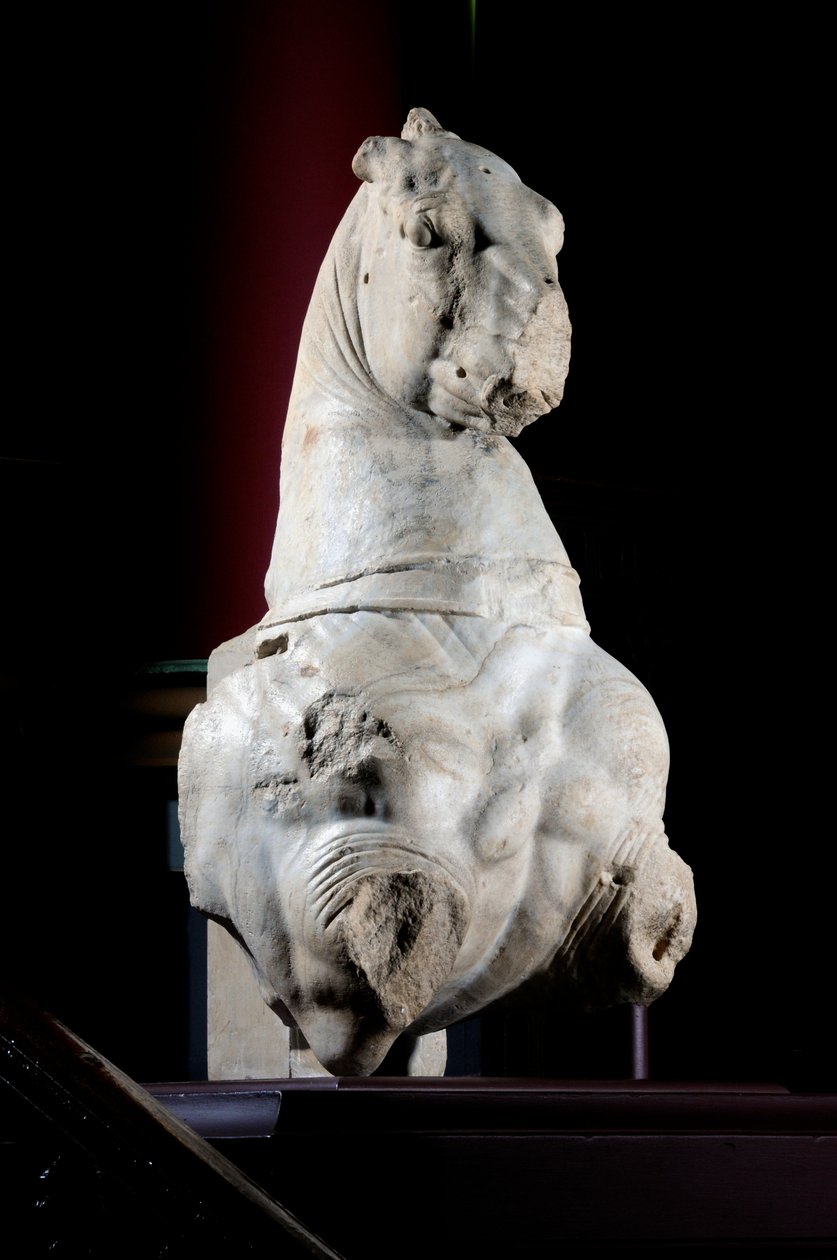 Parte frontal de um cavalo (mármore) (ver também 371182 & 371183) de Roman Roman