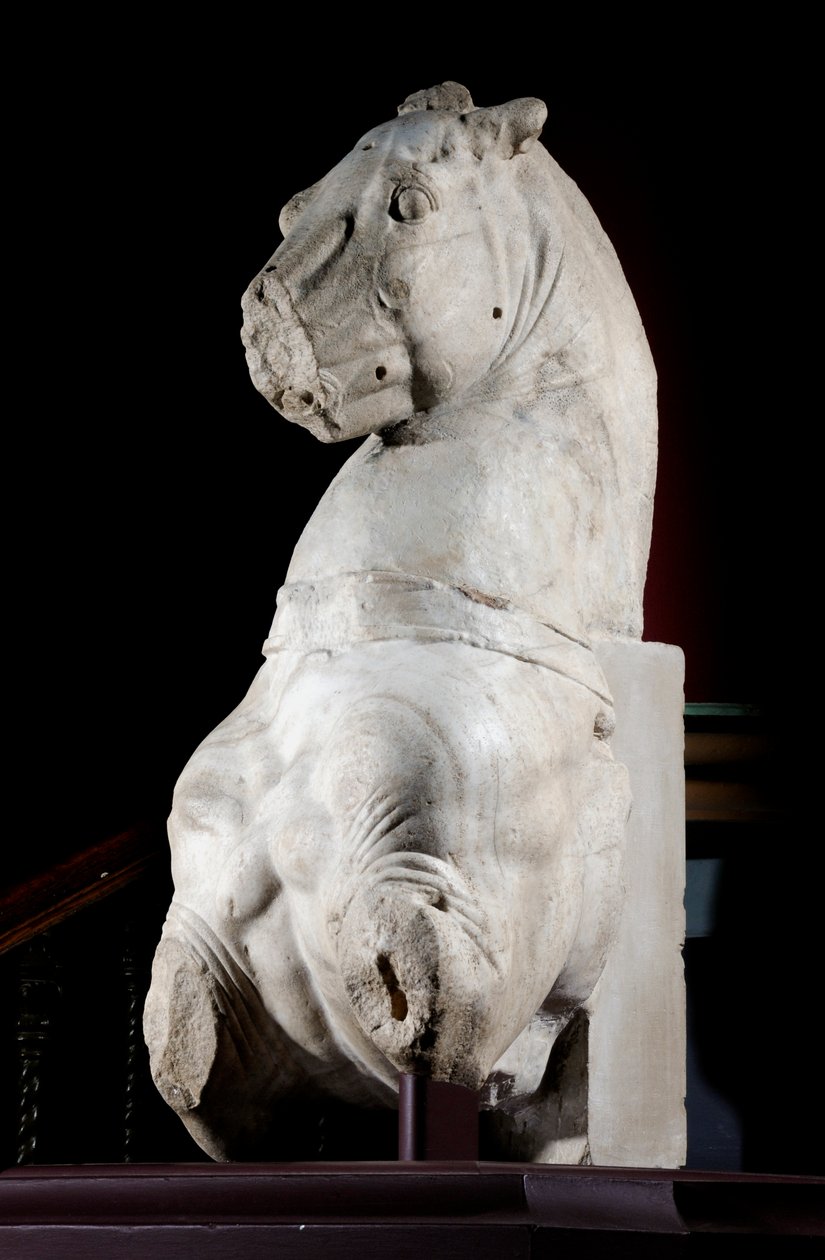 Parte frontal de um cavalo (mármore) (ver também 371182 & 371184) de Roman Roman