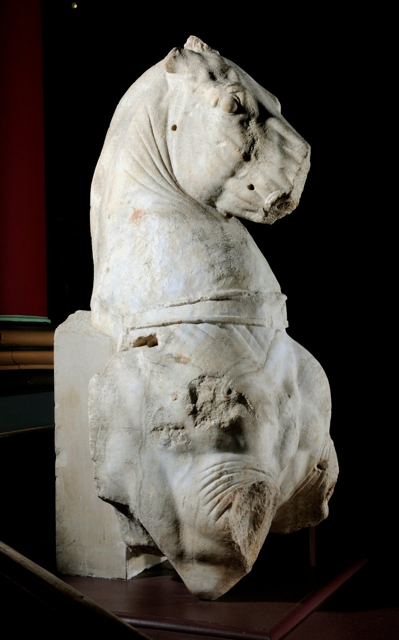 Parte frontal de um cavalo (mármore) (ver também 371183 & 371184) de Roman Roman