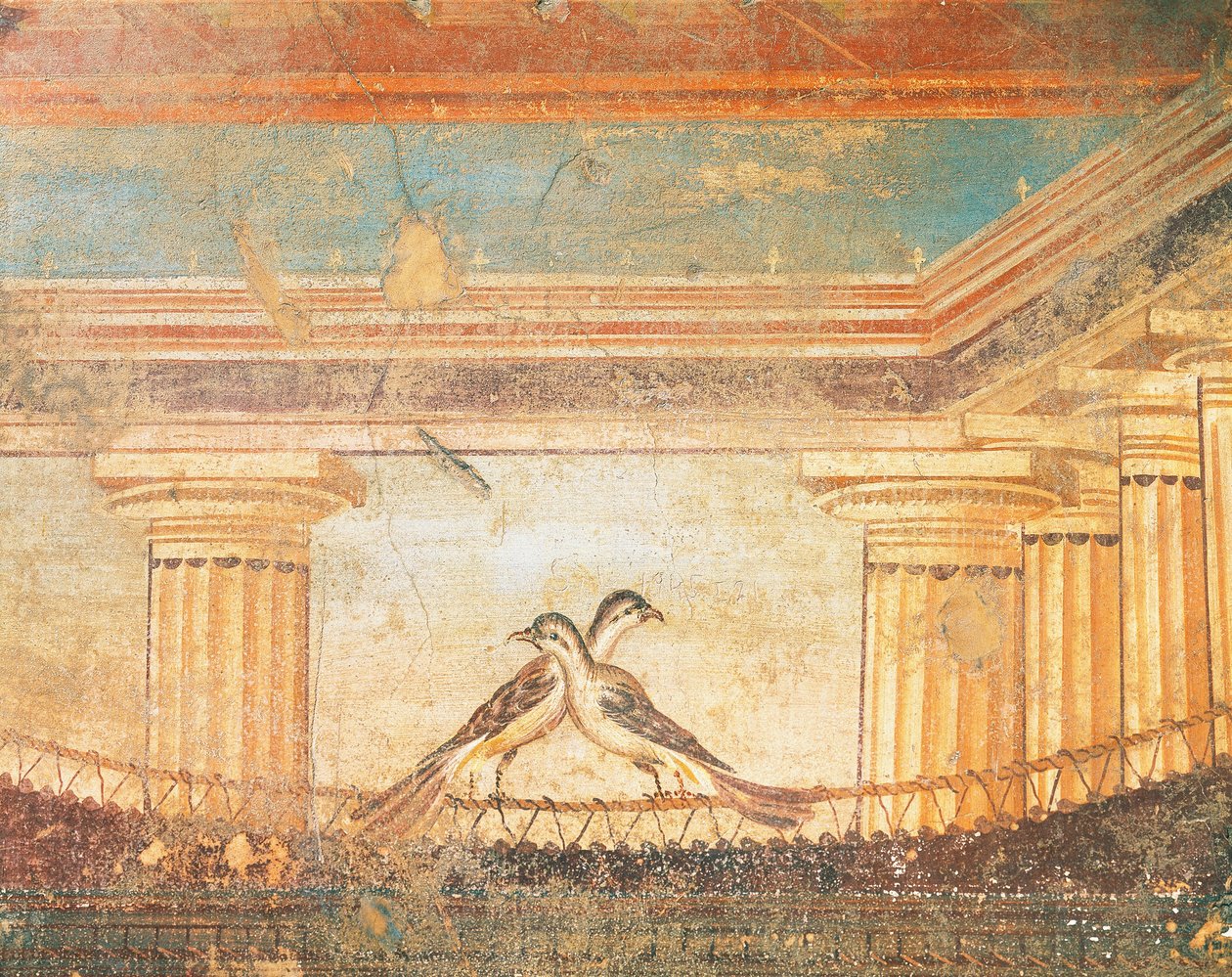 Afresco de Hera Sannita representando aves, Casa do Labirinto, Pompeia , Campânia, Civilização Romana de Roman Roman
