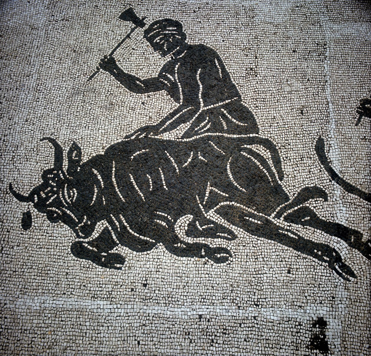 Mosaico representando uma cena de abate de um touro e encontrado em Ostia (Ostia) (perto de Roma). Actualmente preservado no antigo Salão de Bombeiros de Óstia. de Roman Roman