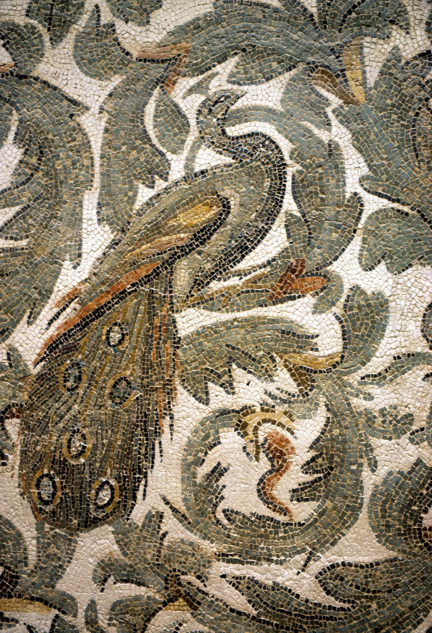 Pavão, Detalhe do Mosaico - Século IV A.C., Museu Bardo, Tunísia de Roman Roman