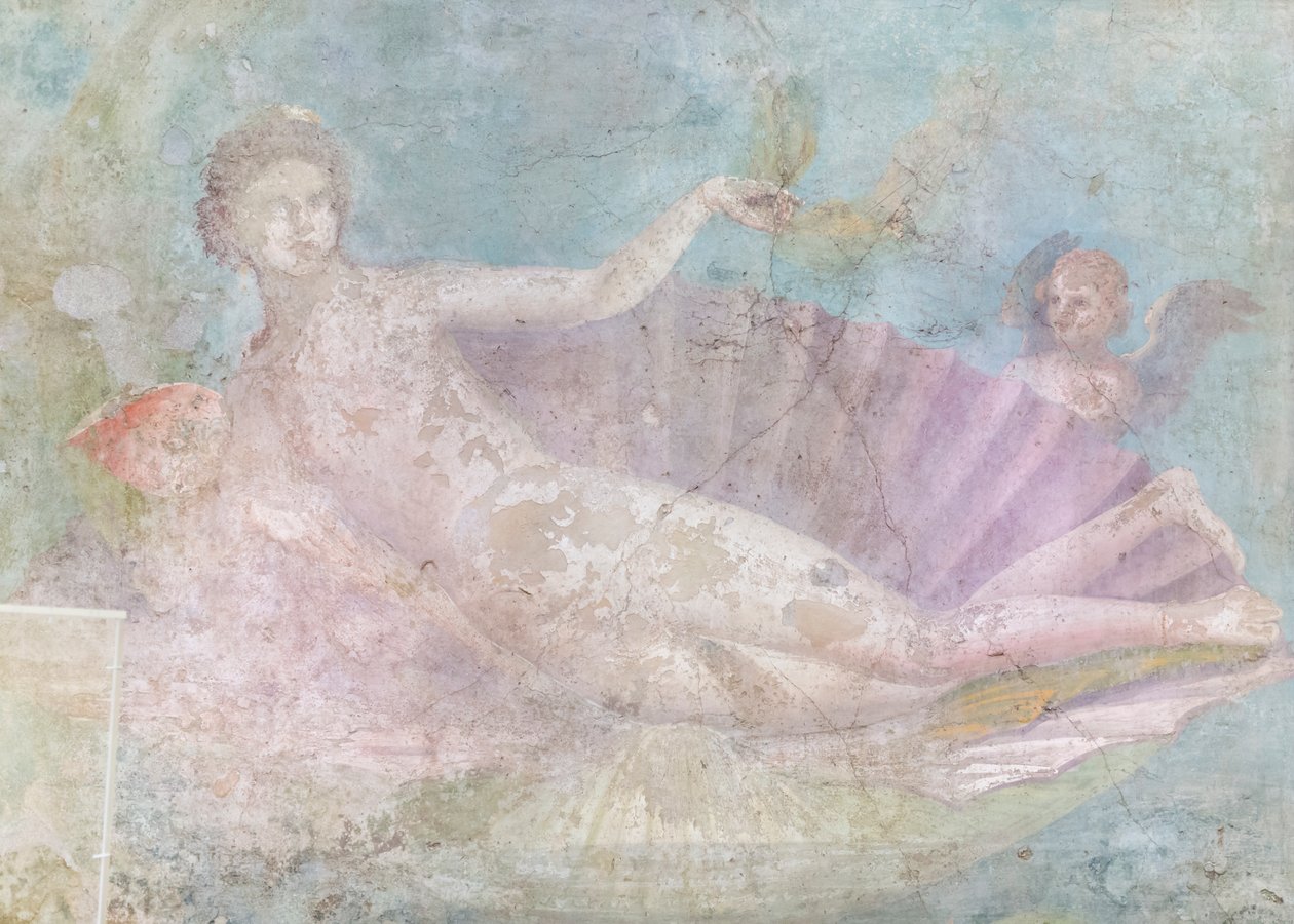 Vénus em concha, pintura, 50-75 d.C. (fresco) de Roman Roman