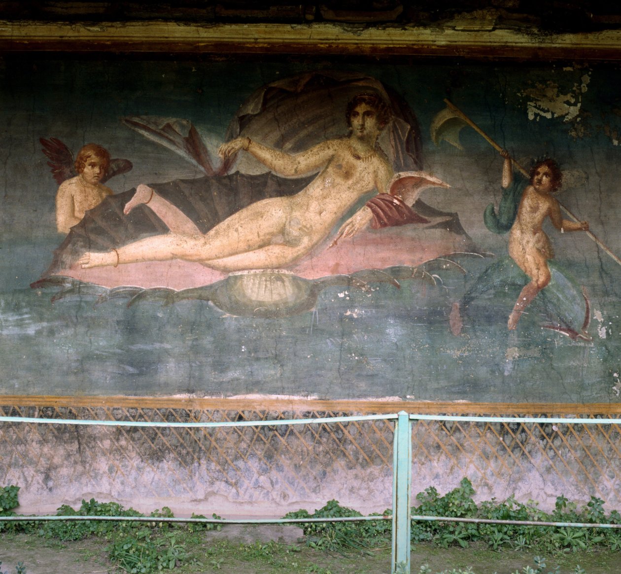 Vénus a descansar na concha. Casa de Vénus, Pompeia, Itália. Fresco. de Roman Roman