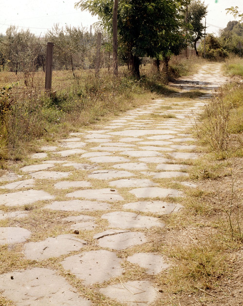 Via Flaminia, Roma. de Roman Roman