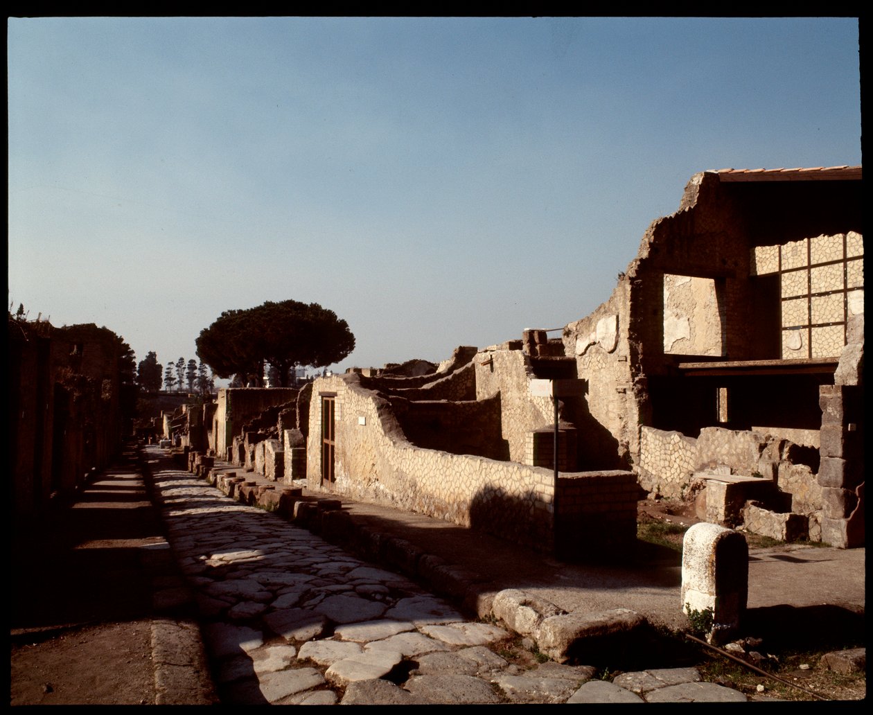 Vista de Decumanus Maximus, século V a.C. - século I d.C. de Roman Roman
