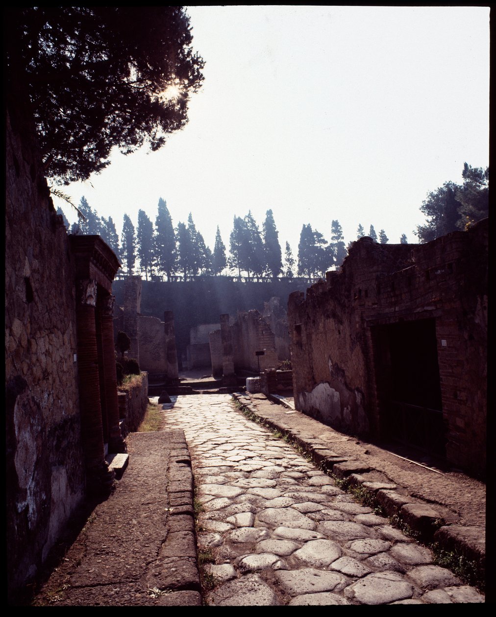 Vista de cardo V, século V a.C. - século I d.C. de Roman Roman
