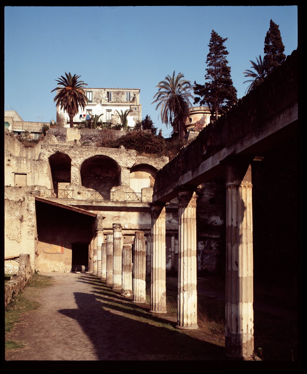 Vista da palestra, século V a.C. - século I d.C. de Roman Roman