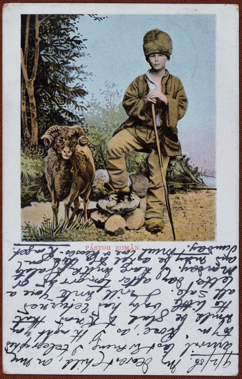 Postal retratando um pastor romeno, c.1906 de Romanian School